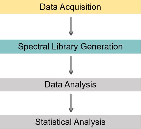 Spectrum-Centric DIA Data Analysis