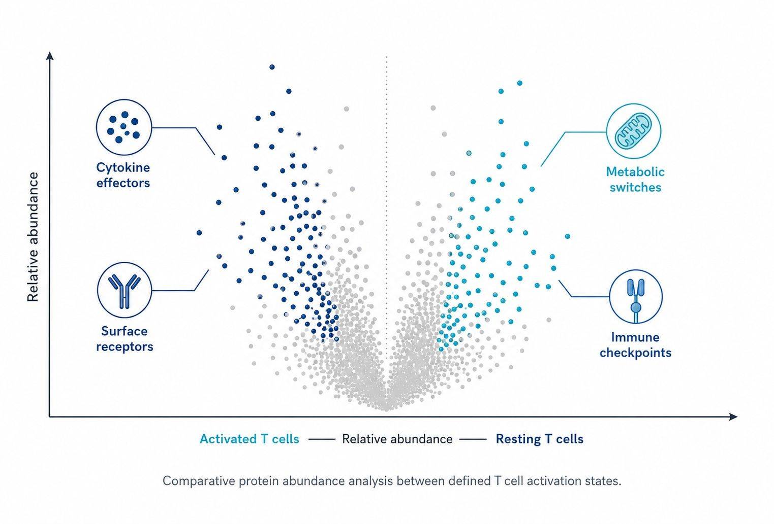 Volcano plot of differential protein abundance