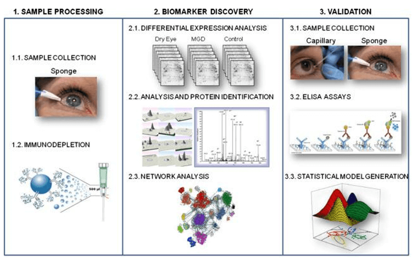 Tear proteome and protein network analyses for tear film characterization in dry eye and meibomian gland dysfunction