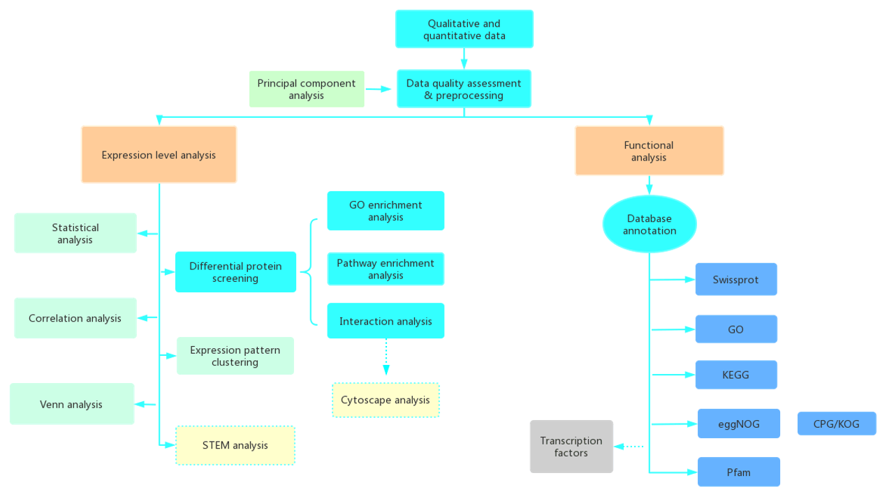 Data Analysis