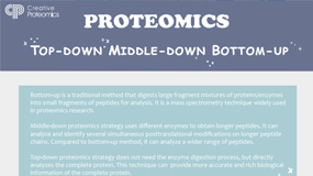 Top-Down, Middle-Down and Bottom-Up—Choose the Suitable Proteomics Strategy for Your Project