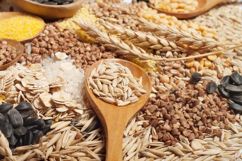 Food Industry Research