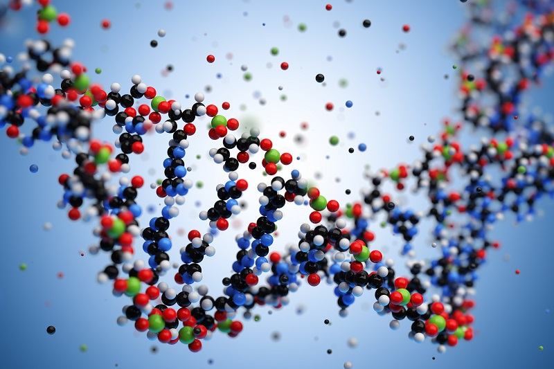 Peptidomics-Based Molecular Mechanism Research of Animals and Plants