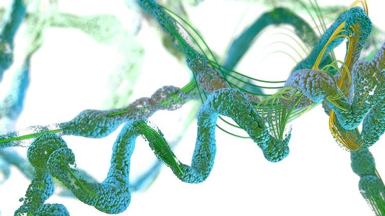 Characterization of Peptide Variants