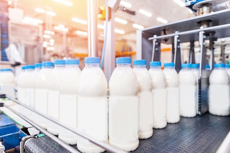 Peptidomics-Based Food Fermentation Research