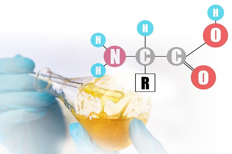 Discovery of New Functional Active Peptides in Food