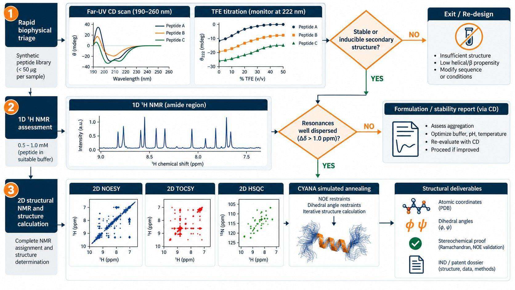 Decision flowchart and staged analytical workflow for short peptide structural characterization.