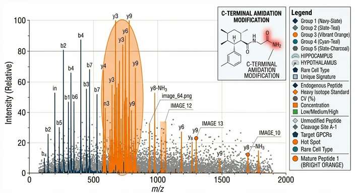 Detailed MS/MS spectra mapping native C-terminal amidation and N-terminal pyro-glutamylation on exosomal neuropeptides.