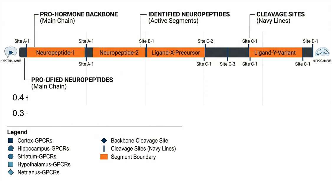 Bioinformatics sequence map