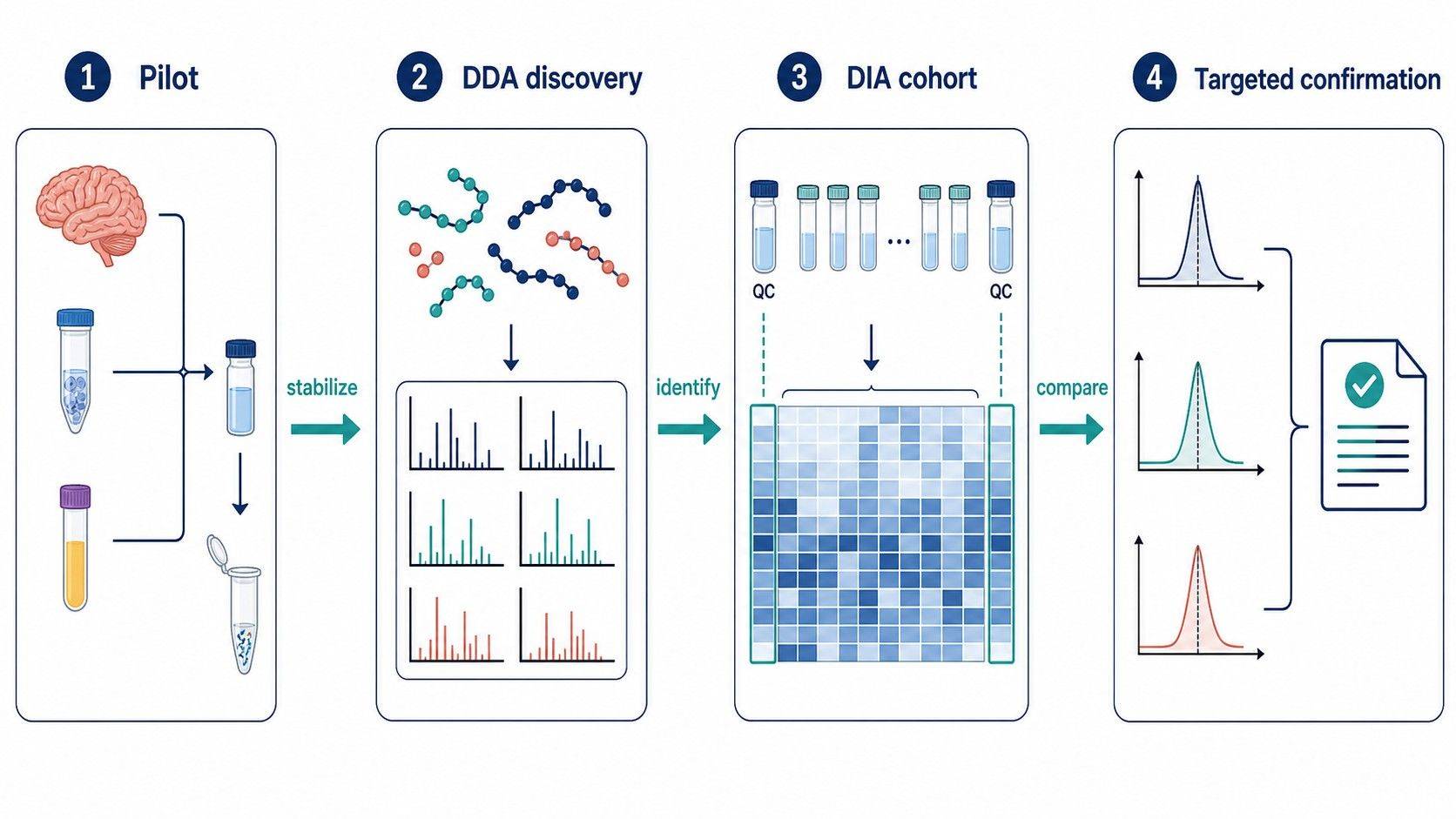 Hybrid DDA to DIA endogenous peptidomics workflow