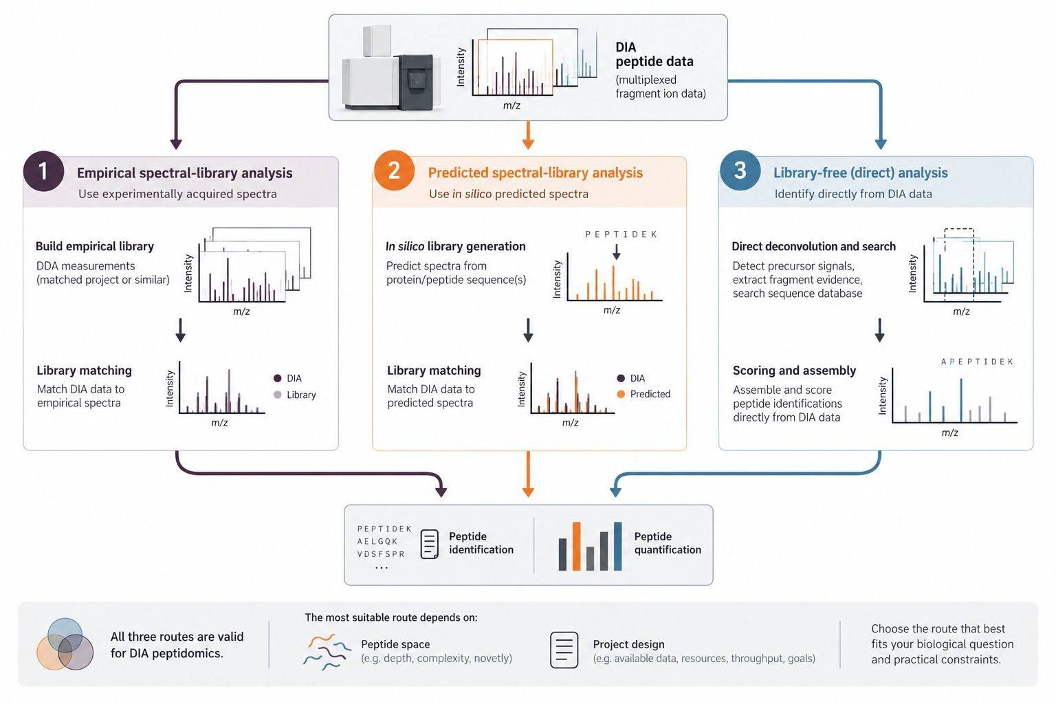 Representative empirical predicted and library-free DIA peptidomics analysis strategies
