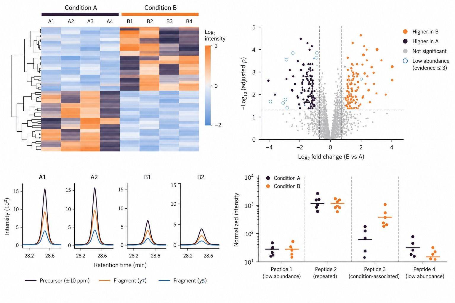 Representative DIA immunopeptidomics quantitative profile across research samples