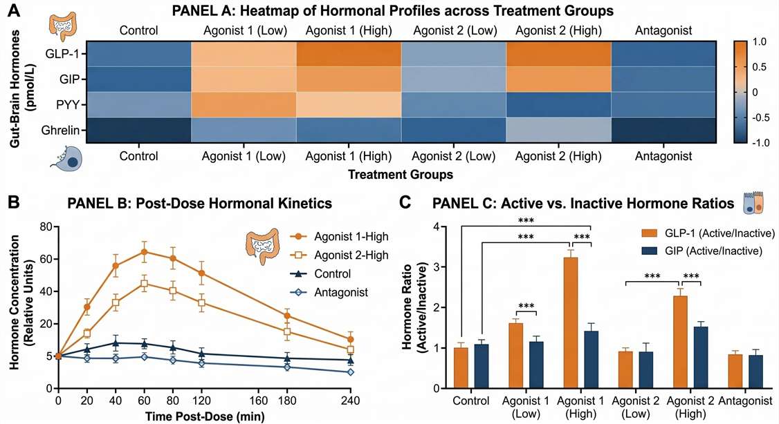 A multi-panel data figure showing: A bar chart of Active vs Cleaved isoform ratios, a line graph showing post-dose kinetics of GLP-1 and PYY, and a heatmap comparing overall endocrine panel states between Vehicle and Treated groups.