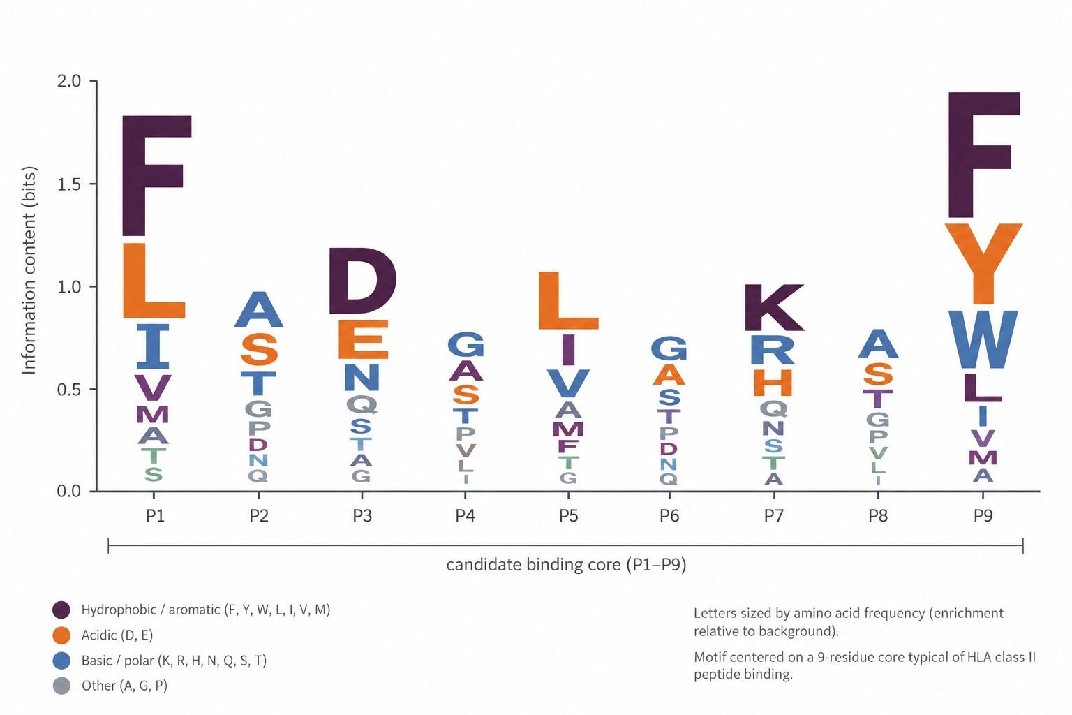 Representative HLA class II binding motif sequence logo