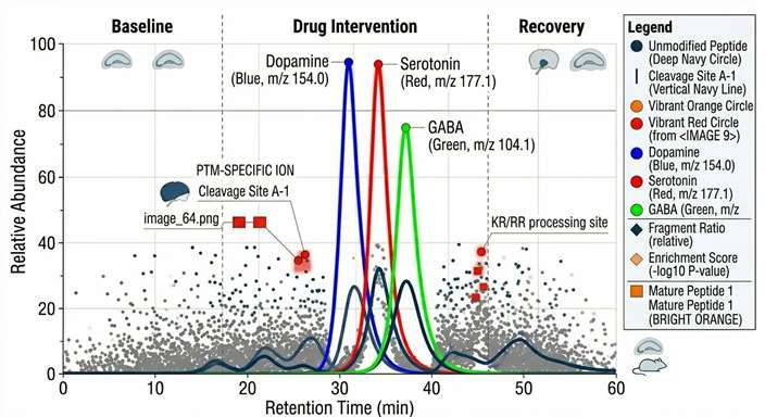 An extracted ion chromatogram demonstrating ultra-sensitive Triple Quadrupole LC-MS/MS detection of neurotransmitters in a 1 microliter dialysate sample.