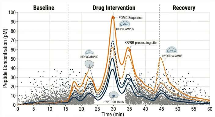 Line chart tracking specific peptide concentration spikes across Baseline, Intervention, and Recovery phases