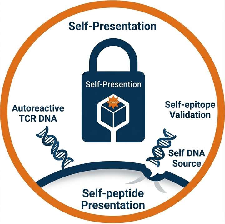 Autoimmune Disease Research