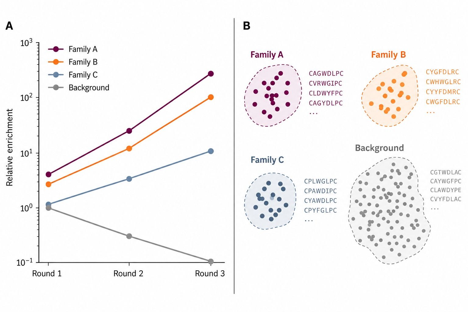 Representative macrocyclic peptide screening enrichment and hit-family analysis