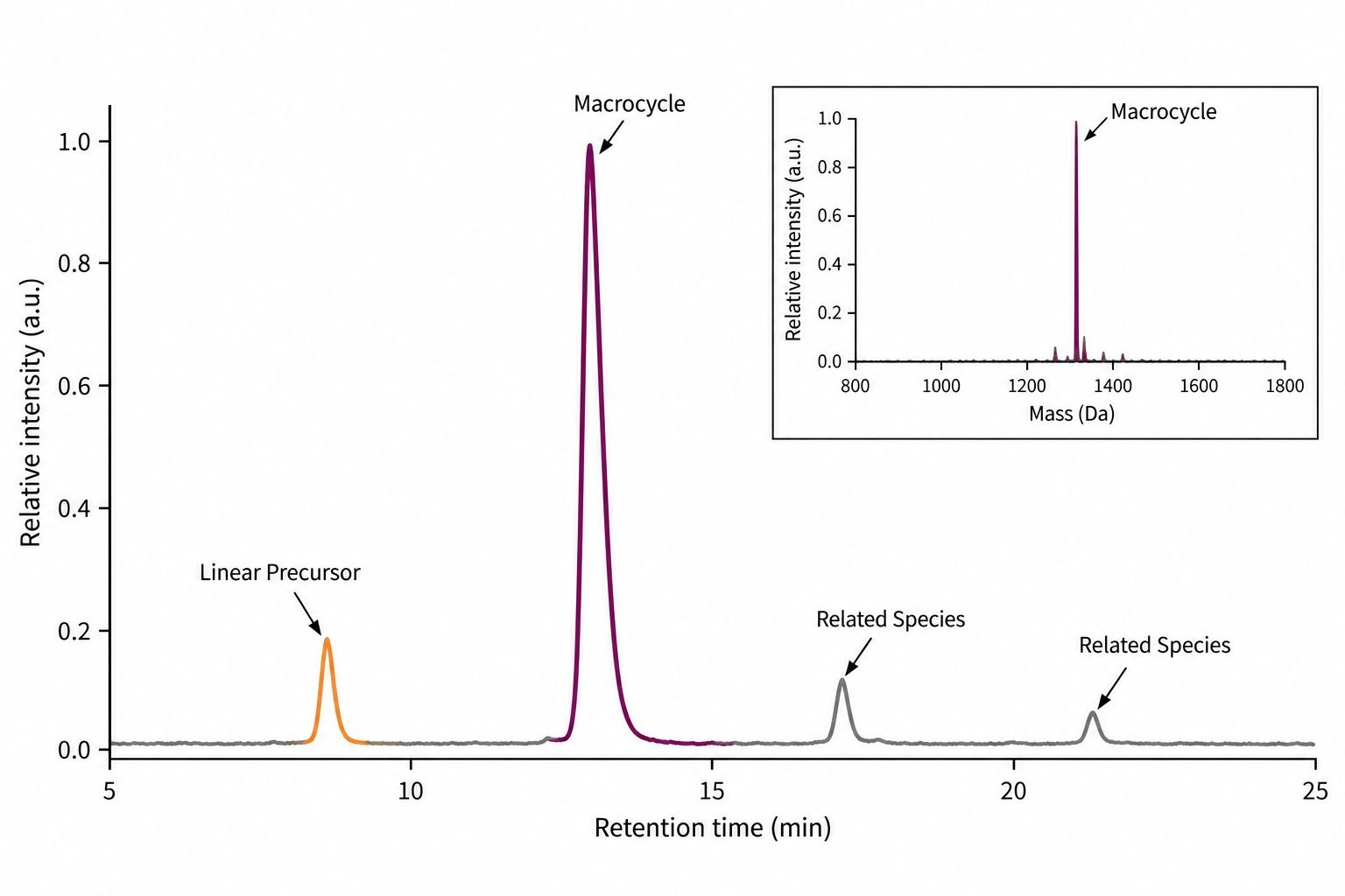 Representative LC-MS characterization of a macrocyclic peptide and related species