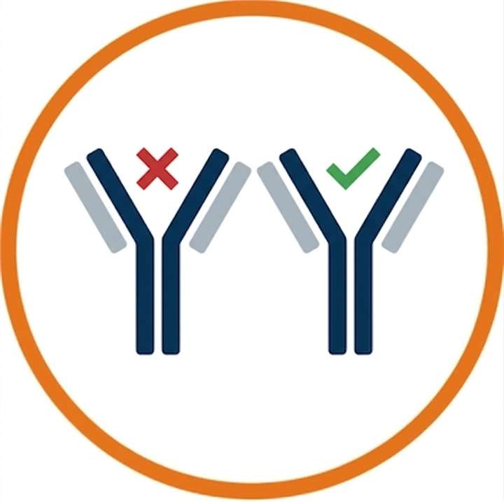 De-immunization Verification