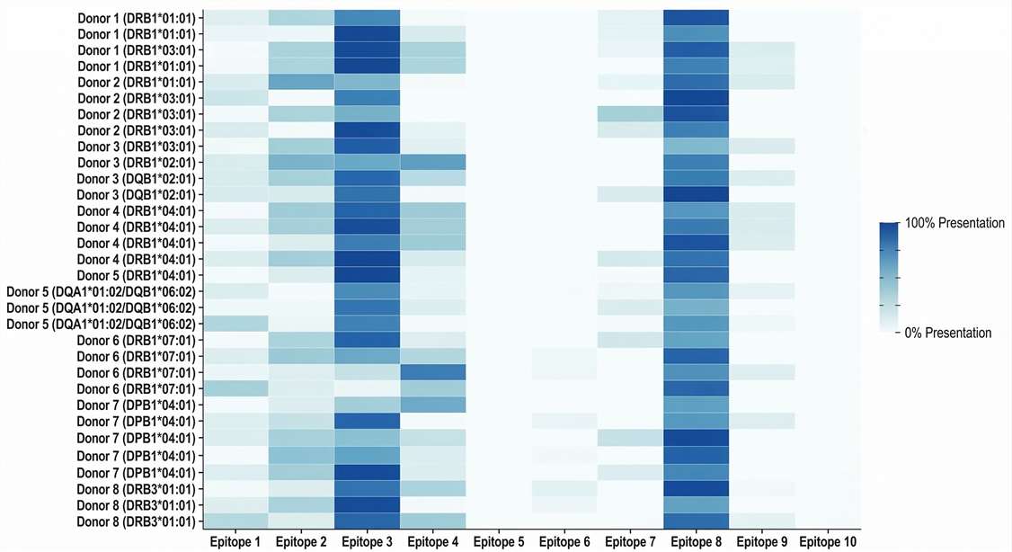 Donor HLA presentation matrix