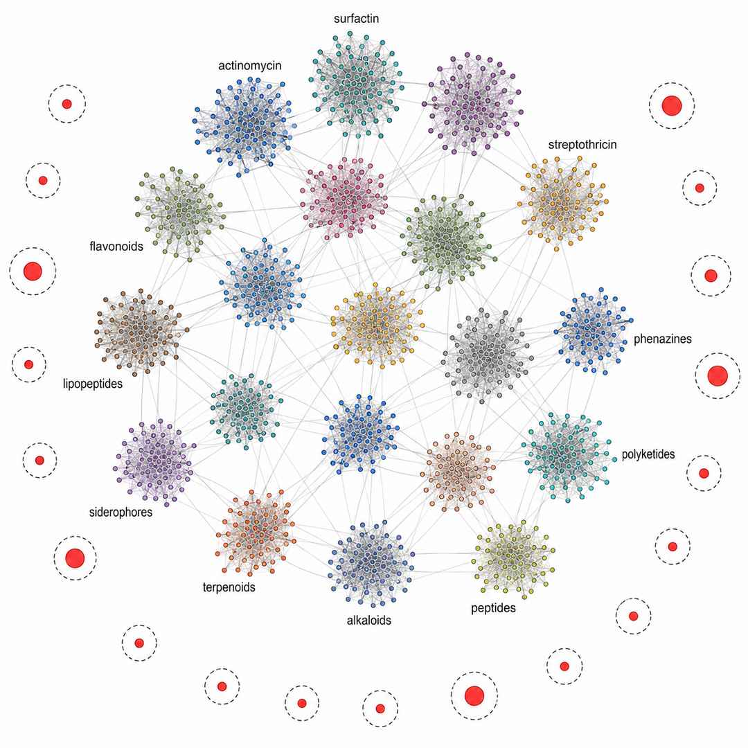 GNPS molecular network highlighting novel lanthipeptide nodes from Streptomyces ISP-5 fermentation extract screened across 10 media conditions
