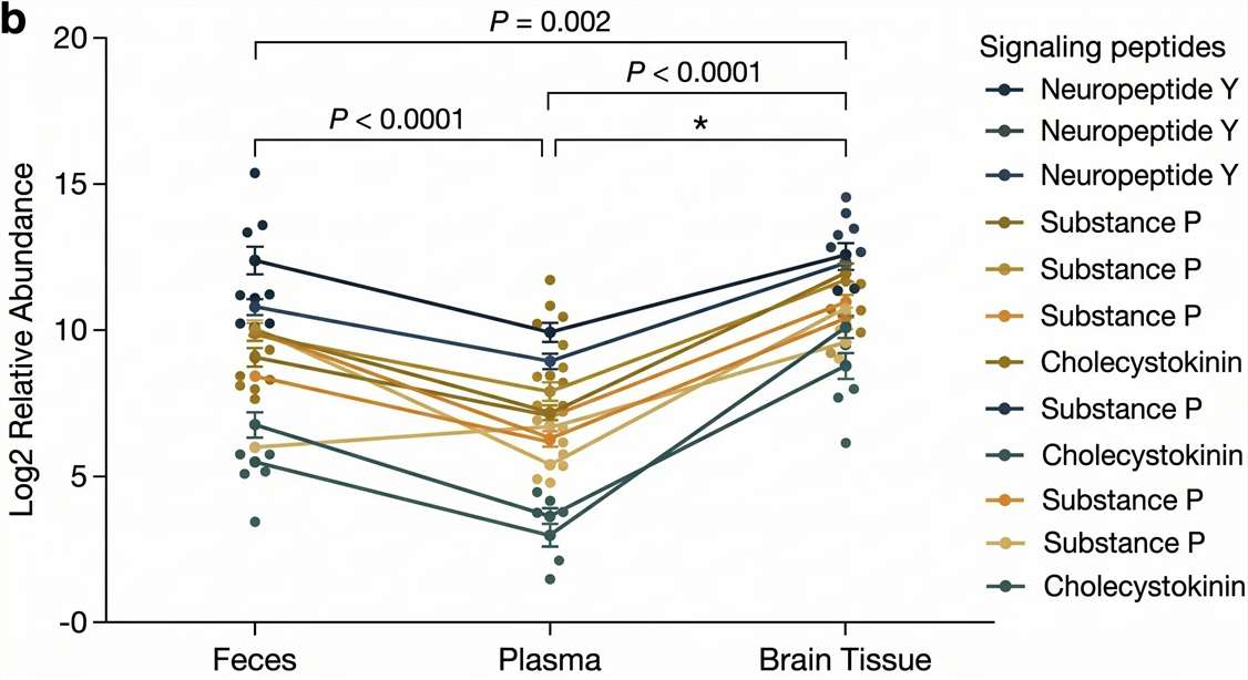 A multi-compartment line graph demonstrating the relative abundance shifts of a specific target peptide across feces, serum, and brain tissue.