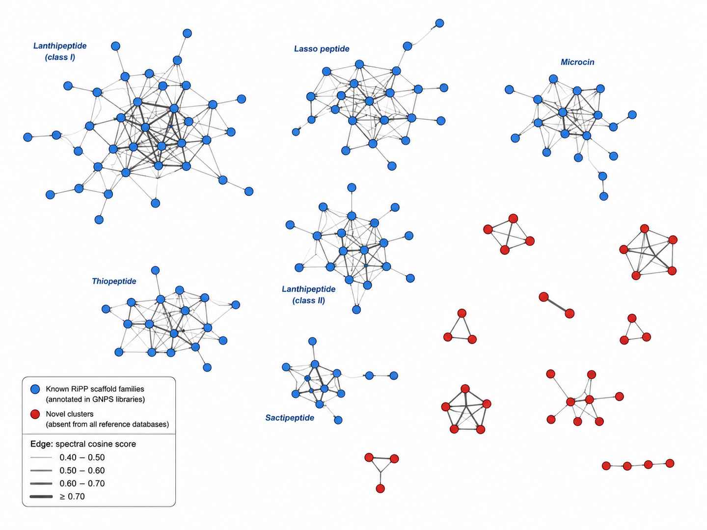 GNPS molecular network map from Streptomyces extract showing annotated RiPP cluster families, known scaffold nodes in blue, and novel candidate nodes highlighted in red with spectral similarity edges