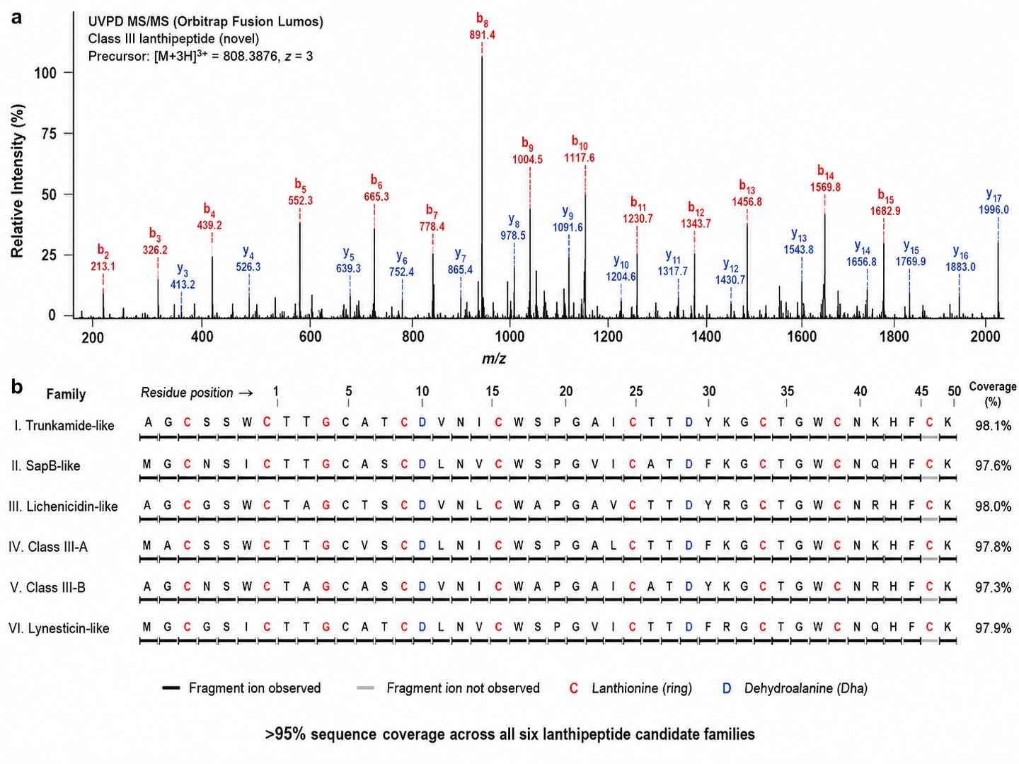 UVPD MS/MS spectrum of a lanthipeptide with annotated b and y ion series confirming two lanthionine rings, three dehydroalanine positions, and complete peptide backbone cleavage coverage map