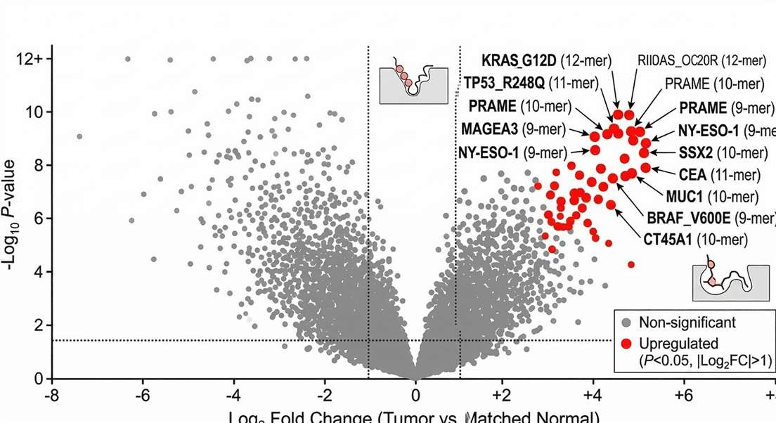 Volcano plot showing differential presentation of tumor neoantigens versus normal tissue