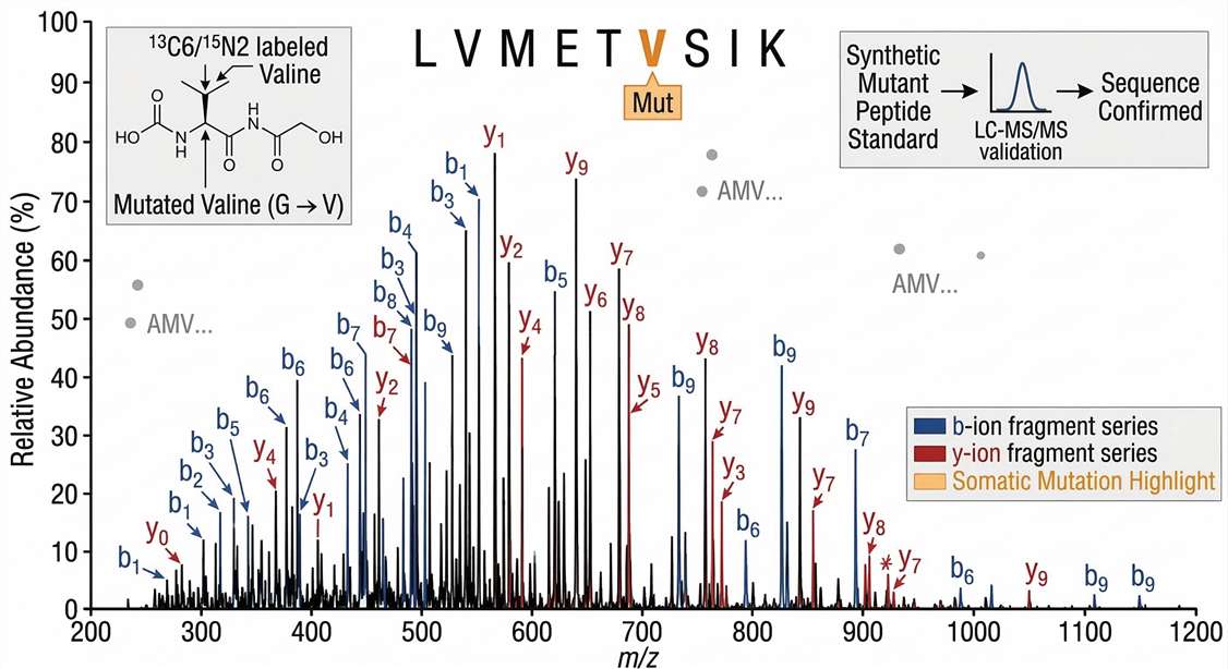 Annotated high-resolution MS2 fragmentation spectrum confirming the somatic mutation sequence of a neoantigen
