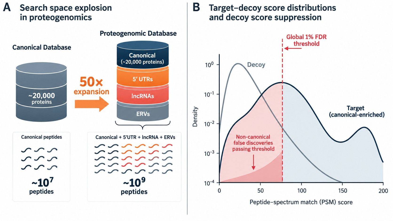 Non-Canonical Neoantigen Discovery: Proteogenomics and Immunopeptidomics Validation Guidelines