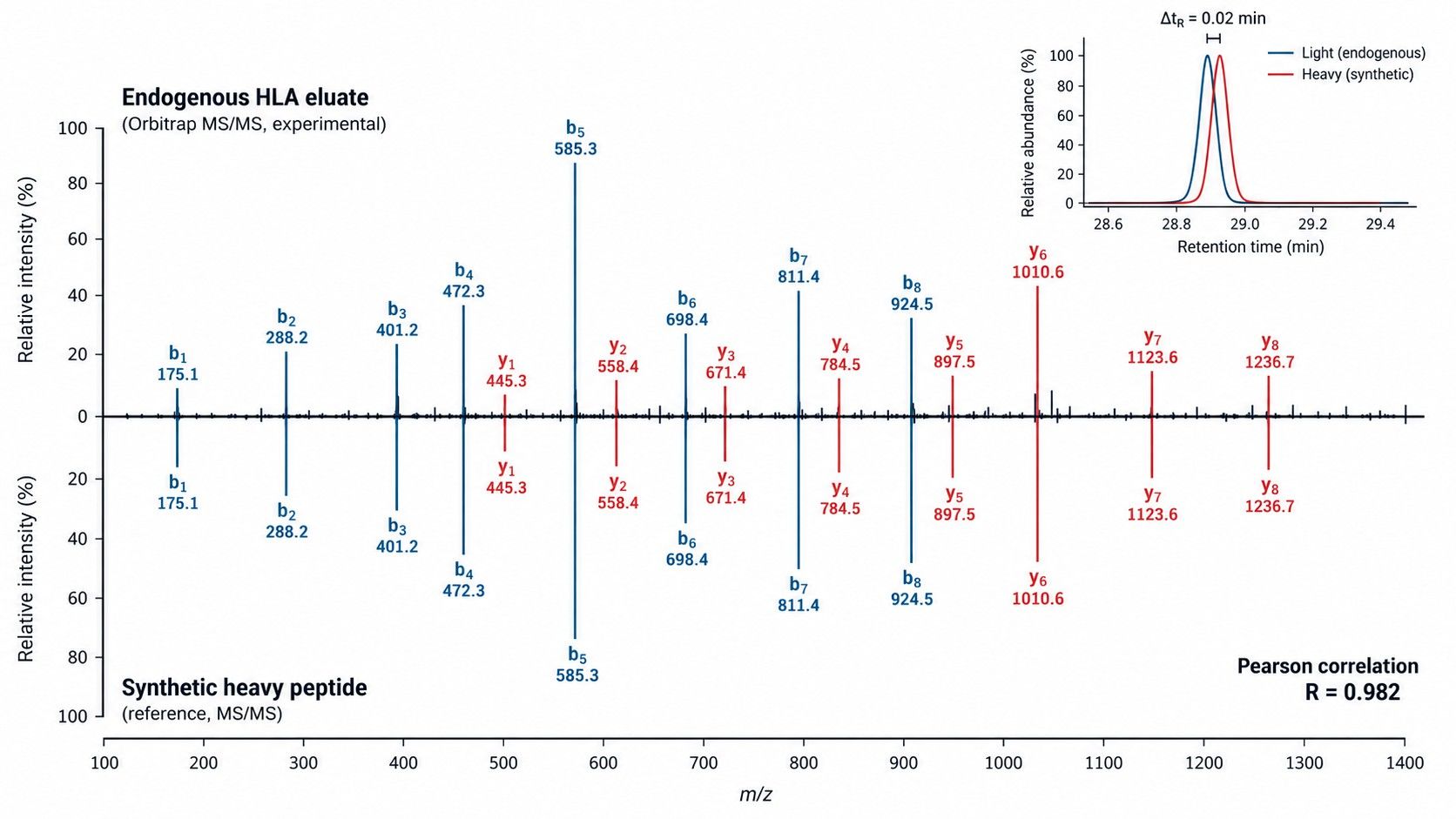 High-resolution MS/MS mirror spectral match comparison between endogenous and synthetic non-canonical peptide.