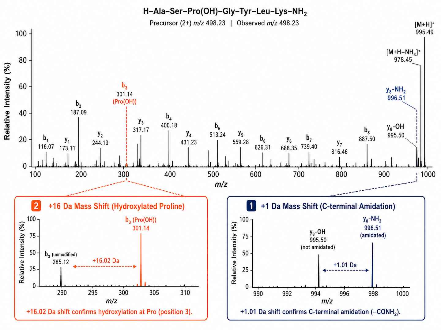 High-resolution MS/MS spectrum identifying C-terminal amidation and proline hydroxylation in a spider toxin