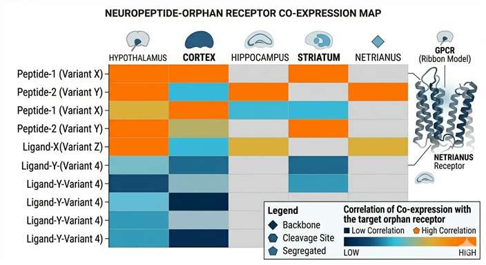 Tissue expression alignment cross-referencing peptide abundance with GPCR distribution