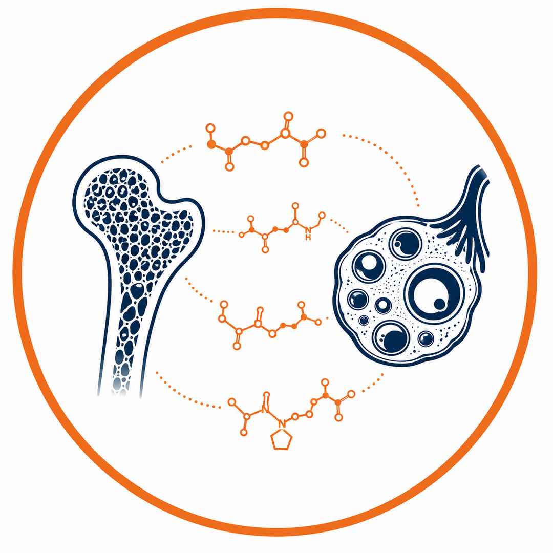 Reproductive and skeletal biology icon