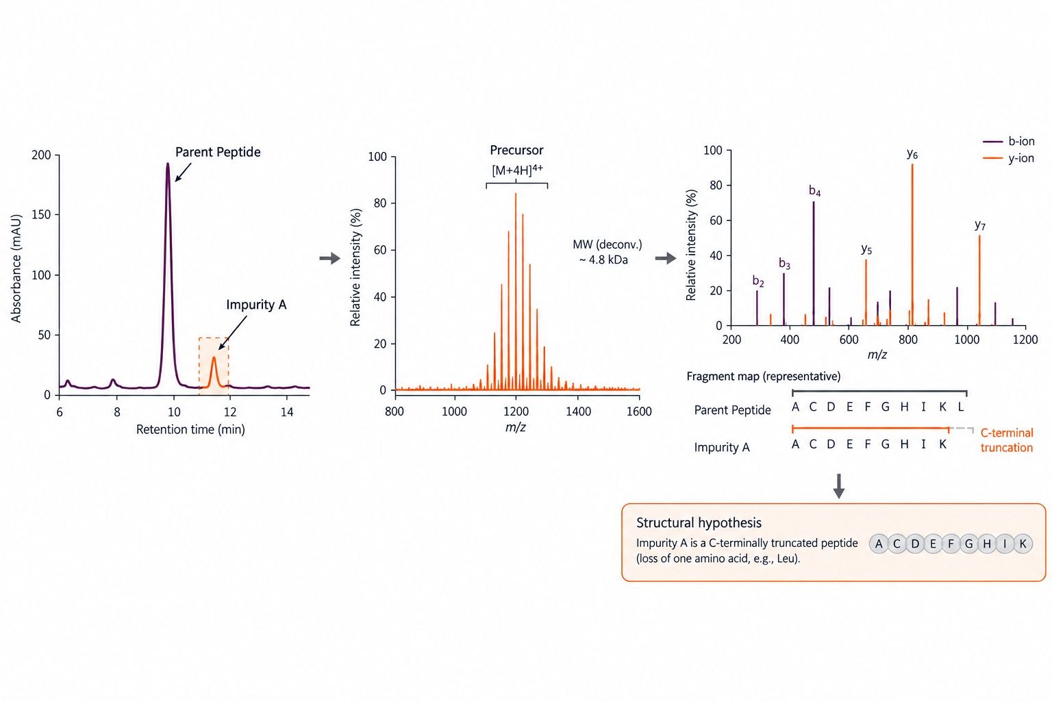 Representative chromatographic and LC-HRMS workflow for identifying an unknown peptide impurity peak