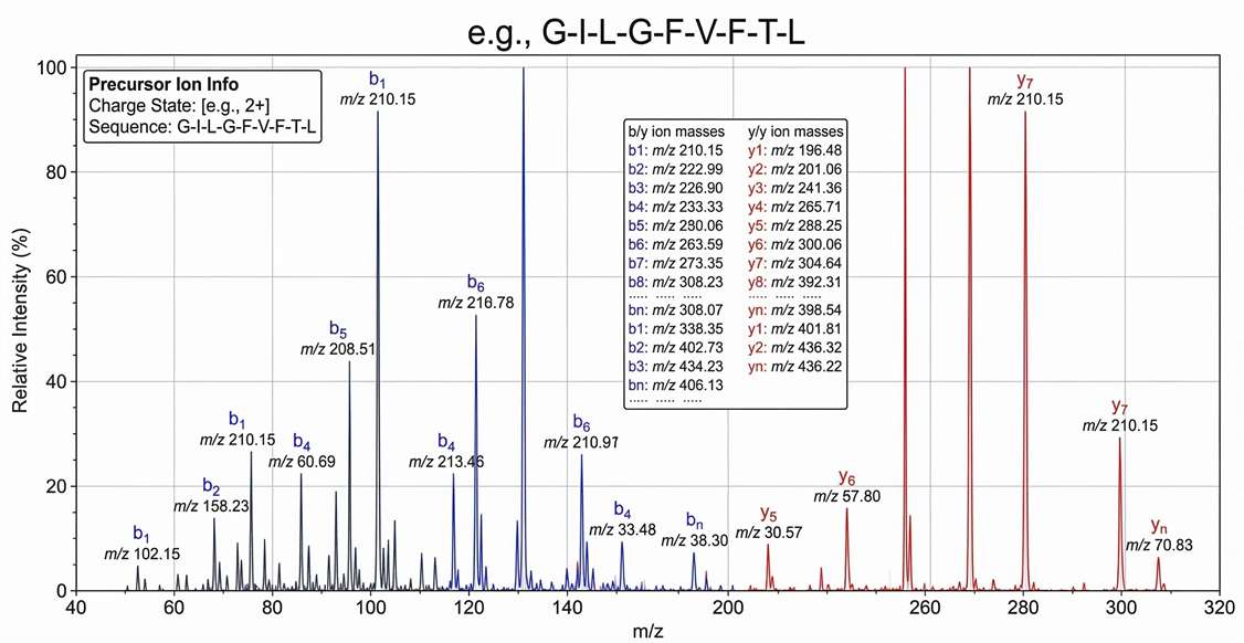 Annotated LC-MS/MS fragmentation spectrum confirming the precise amino acid sequence of an eluted HLA bound peptide.
