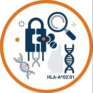 Neoantigen Validation