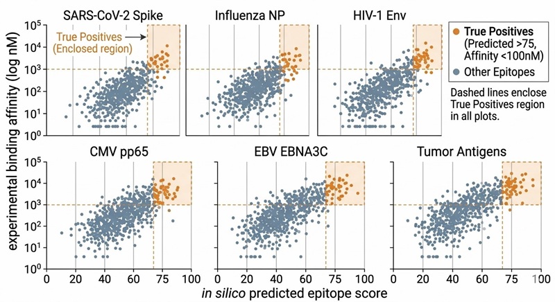 Scatter plot matrix comparing in silico predicted epitope scores against actual experimental binding strength.