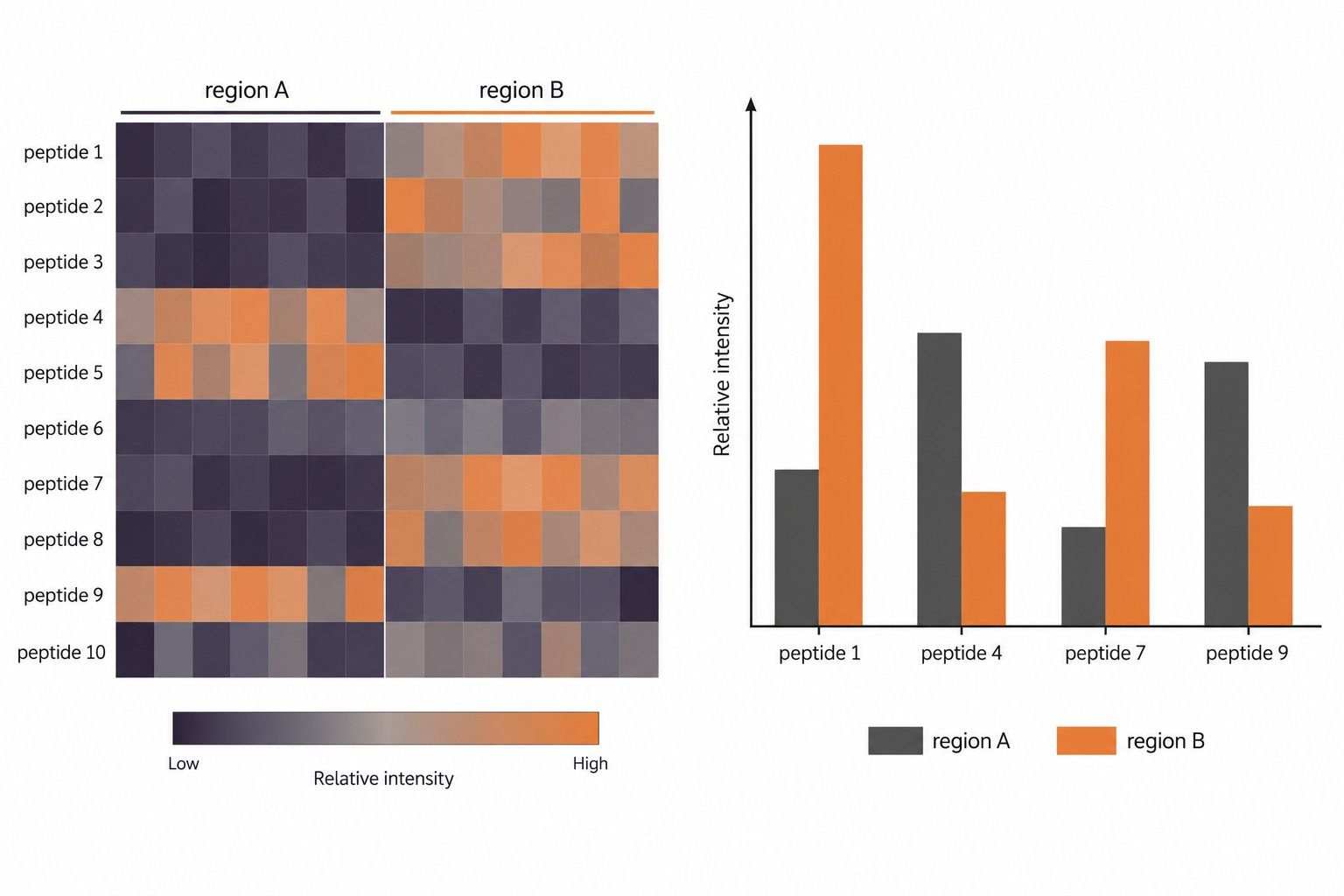 Representative ROI-based comparison of normalized MALDI-MSI ion intensities across tissue regions