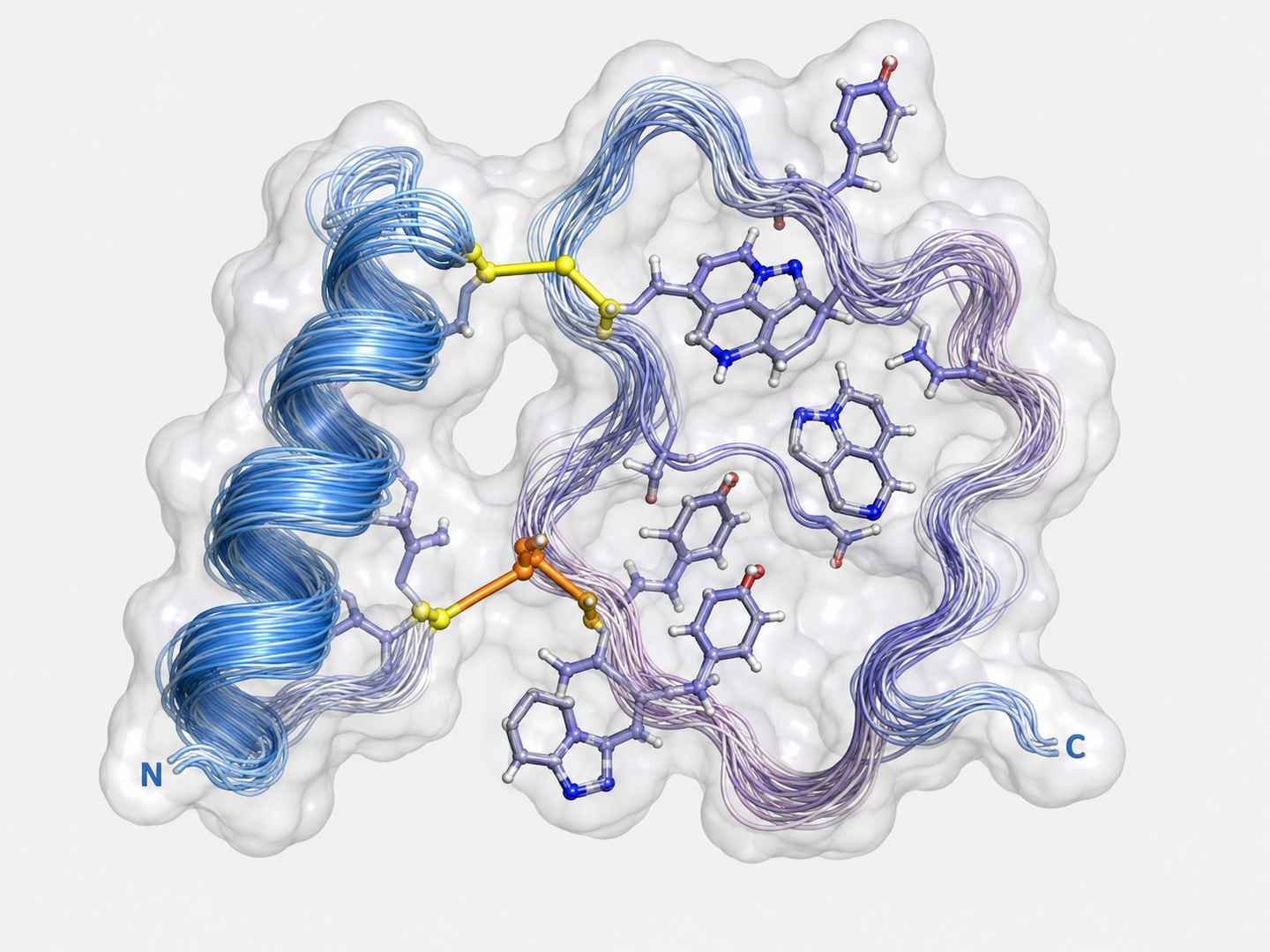 Solution NMR-derived 3D structural ensemble of a characterized RiPP showing global fold with lanthionine bridges cross-linking the N-terminal and central regions.