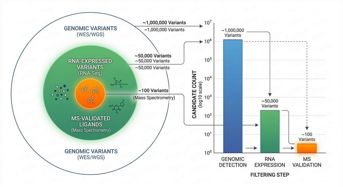 Euler diagram and waterfall plot showing filtration of in silico predicted somatic variants.