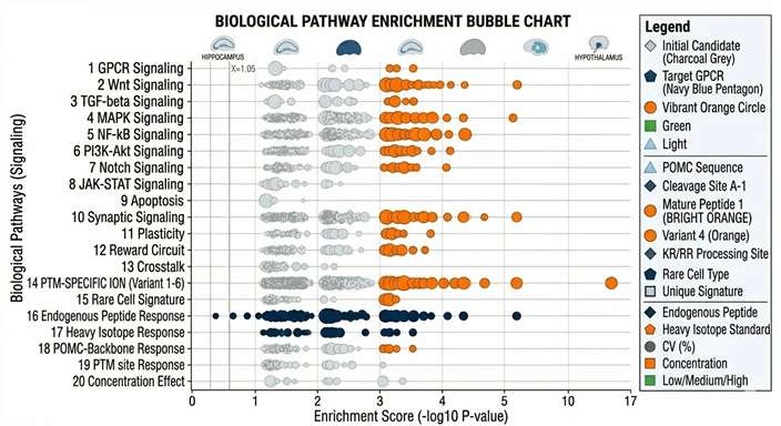 Bubble chart of enriched biological terms