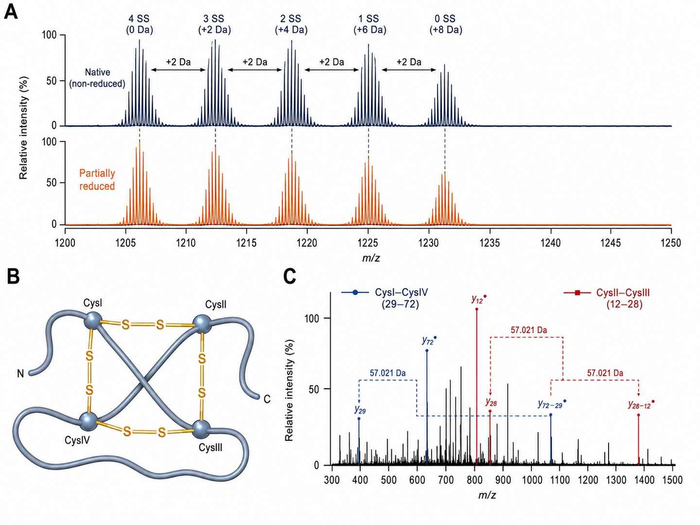 Disulfide connectivity mapping