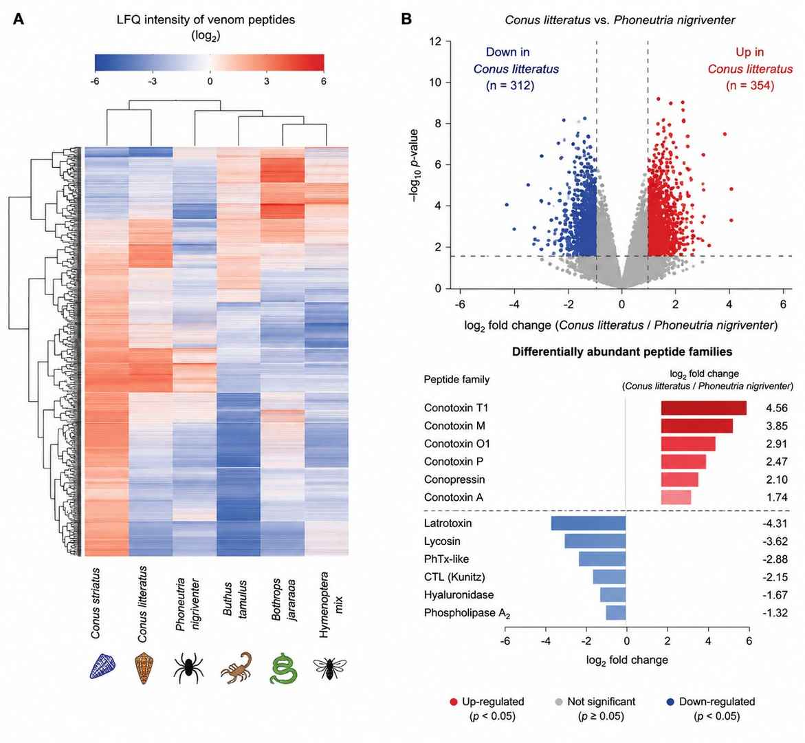 Comparative venom LFQ across species