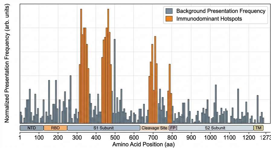Viral antigen epitope mapping showing presentation hotspots on the protein sequence.