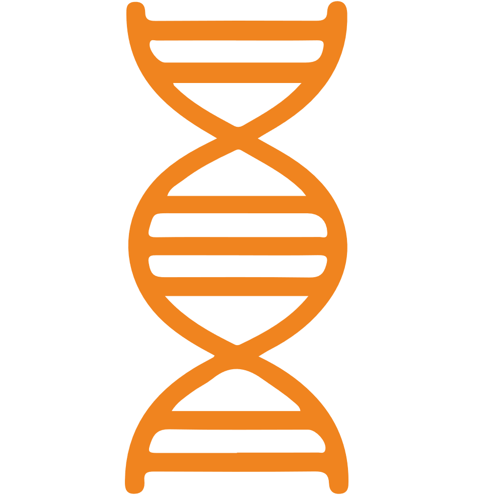 immunopeptidome-profiling