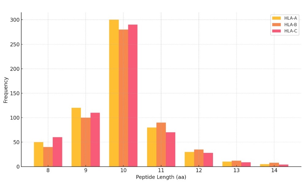 Bar chart showing distribution of peptide lengths across HLA-A, HLA-B, and HLA-C alleles