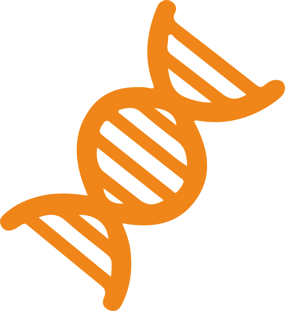 immunopeptidome-profiling